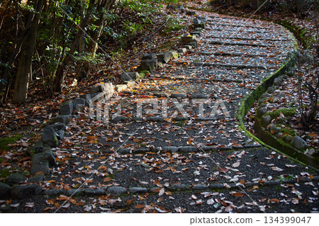 A walkway in the park on a morning after an autumn rain and the scenery of fallen autumn leaves 134399047