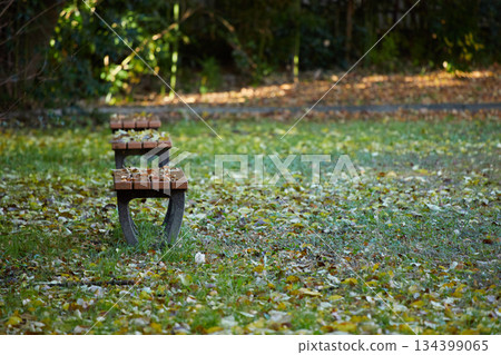 Scenery of park benches and fallen autumn leaves after the autumn rain Scenery of park benches and fallen autumn leaves after the autumn rain 134399065