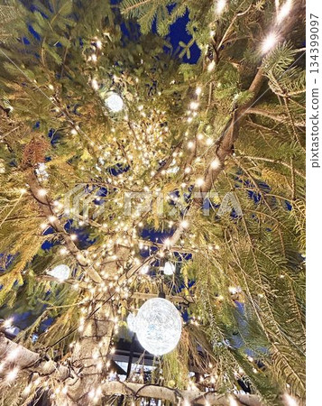 Numerous illuminations shining on the Christmas tree 134399097