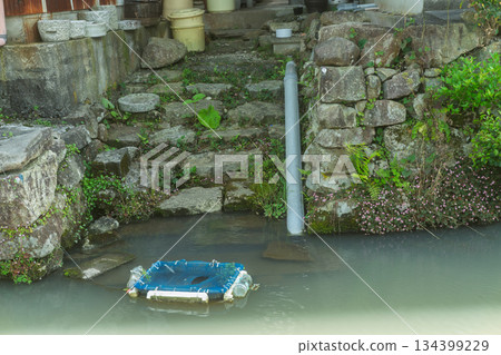 Photographing the Iba Suigo Village, a Japanese Heritage Site remaining in the eastern plains of Lake Biwa 134399229