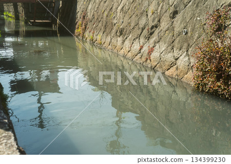 拍攝伊場水鄉村，這是位於琵琶湖東部平原上的日本文化遺產。 134399230