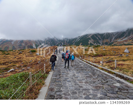 Autumn tourist attraction, Tateyama Kurobe Alpine Route, Murodo summit, mountain scenery and tourists walking 134399269
