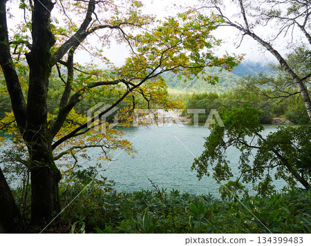 上高地森林和大正池的秋景 上高地森林和大正池的秋景 134399483