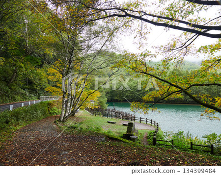 上高地森林和大正池的秋景 上高地森林和大正池的秋景 134399484