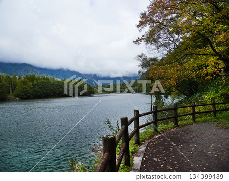 上高地森林和大正池的秋景 134399489