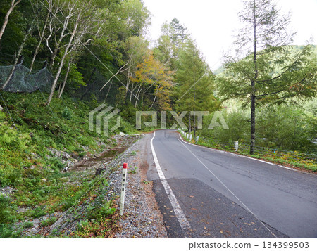 上高地森林和道路的秋景，是個旅遊景點 134399503
