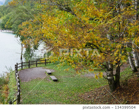 Autumn scenery of the Kamikochi forest and Taisho Pond 134399504