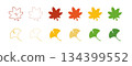 簡單的秋葉和銀杏圖示集插圖 134399552