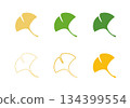 簡單的銀杏圖示集插圖 134399554