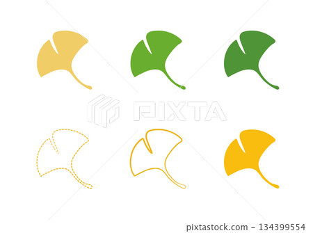 簡單的銀杏圖示集插圖 簡單的銀杏圖示集插圖 134399554