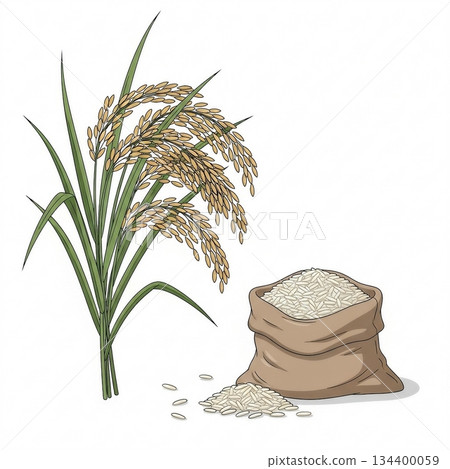 米飯和米飯5的簡單圖示 134400059