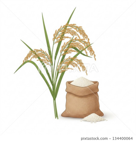 10張關於米和米飯的簡單插圖 134400064