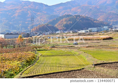 在深秋的風景 在深秋的風景 134400071