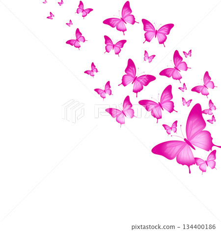 Watercolor butterfly on white background 134400186