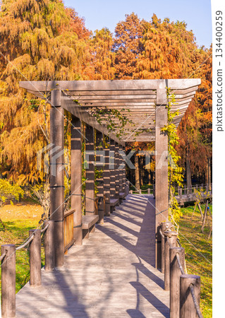 林間小徑秋景風光 134400259