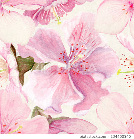 Sakura flowers seamless pattern watercolor, pink tones, hand-painted in botanical style isolated on cloud white background. Perfect for wedding invitations, spring cards, packaging, textile design. Sakura flowers seamless pattern watercolor, pink tones, hand-painted in botanical style isolated on cloud white background. Perfect for wedding invitations, spring cards, packaging, textile design. 134400540