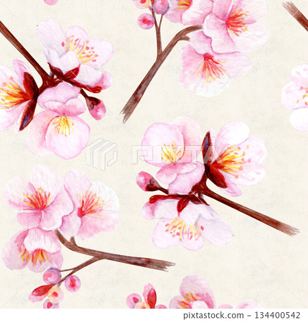 Cherry blossom branch with delicate pink petals seamless pattern. Hand-painted watercolor clip art on cloud white, perfect for spring decor, wedding invitations, Asian design, or floral projects Cherry blossom branch with delicate pink petals seamless pattern. Hand-painted watercolor clip art on cloud white, perfect for spring decor, wedding invitations, Asian design, or floral projects 134400542