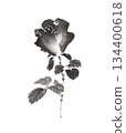 用墨水畫的玫瑰花 134400618