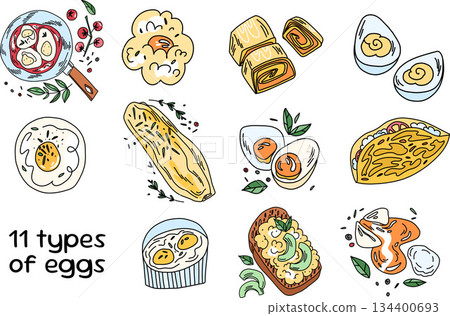 A large selection of eggs prepared in various ways. Fried eggs, omelettes, and boiled eggs 134400693