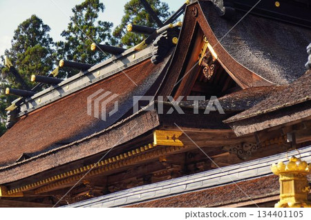 傳統神社建築 傳統神社建築 134401105