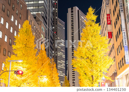 Tokyo: Shinjuku Cityscape - Illuminated Ginkgo Trees 134401230