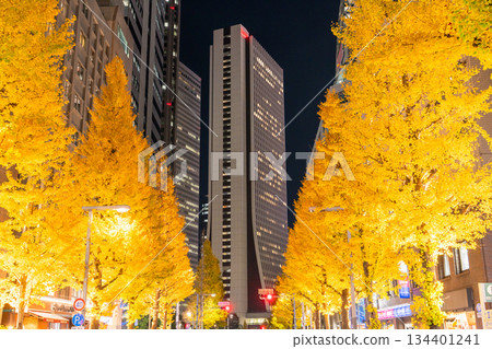 Tokyo: Shinjuku Cityscape - Illuminated Ginkgo Trees Tokyo: Shinjuku Cityscape - Illuminated Ginkgo Trees 134401241
