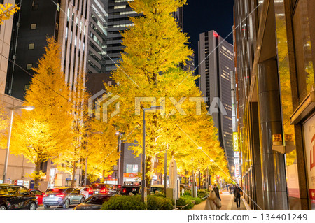 東京：新宿城市景觀－燈光照耀下的銀杏樹 134401249