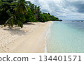 A serene tropical beach with gentle waves, lined with palm trees and clear blue waters. Anse Forbans. Seychelles, Mahe. 134401571