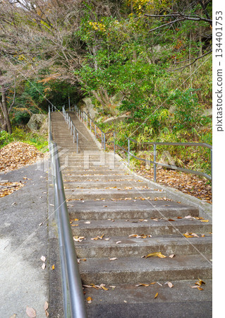 Fallen leaves Fallen leaves 134401753