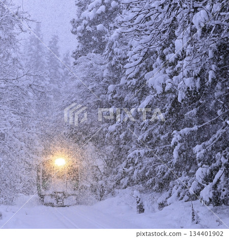 Tadami Line in a blizzard 134401902