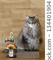 Kadomatsu and New Year's card, New Year's cat 134401904