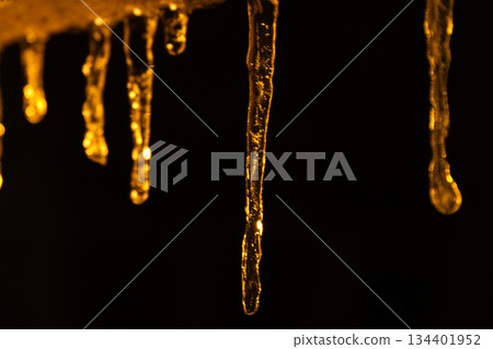 Plants with water drops Plants with water drops 134401952