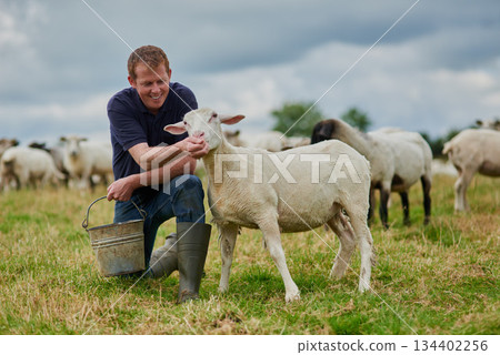 Farm, sheep and feeding with man in field for agriculture, sustainability and animal care. Labor, ecology and summer with male farmer in countryside meadow for cattle, livestock and lamb pasture Farm, sheep and feeding with man in field for agriculture, sustainability and animal care. Labor, ecology and summer with male farmer in countryside meadow for cattle, livestock and lamb pasture 134402256