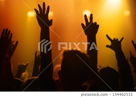 Orange lights, hands of people at concert or music festival dancing with energy in silhouette at live event. Dance, fun and group of excited fans in arena at rock band performance or crowd at party. 134402531