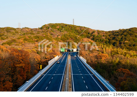 從高架橋上俯瞰高速公路。 134402599