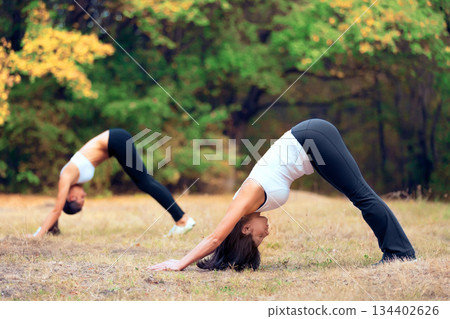 Women, yoga stretching and downward dog in a outdoor park for pilates and fitness. Health, wellness and balance stretch of female friends in nature on grass feeling relax from body care and sport Women, yoga stretching and downward dog in a outdoor park for pilates and fitness. Health, wellness and balance stretch of female friends in nature on grass feeling relax from body care and sport 134402626