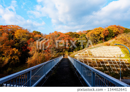 一條健行步道穿過公路上的高架橋。 一條健行步道穿過公路上的高架橋。 134402641