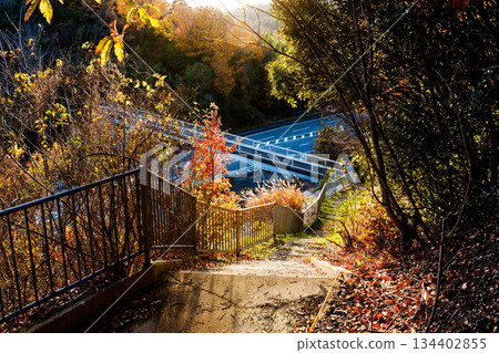 A hiking trail passing over an overpass on the road 134402855