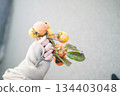 The taste of autumn: persimmon 134403048