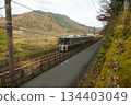 The train came. 134403049