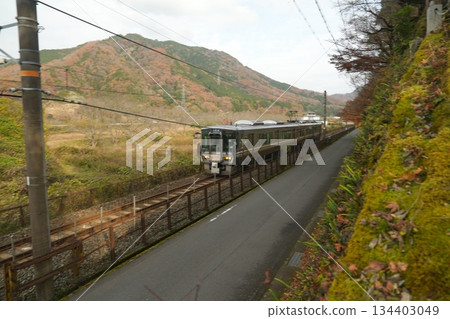The train came. The train came. 134403049