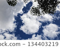 An aerial view of bright white clouds drifting across a deep blue sky, with leaves casting shadows in the upper corner of the image, creating a calm and serene atmosphere. 134403219