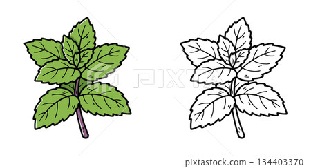 簡單的薄荷圖示插圖 134403370