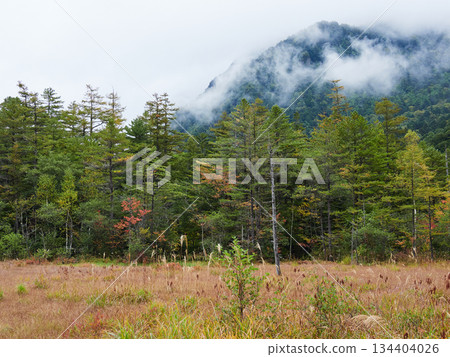 秋季旅遊景點:上高地田代濕地森林與穗高山脈的霧靄景色 秋季旅遊景點:上高地田代濕地森林與穗高山脈的霧靄景色 134404026