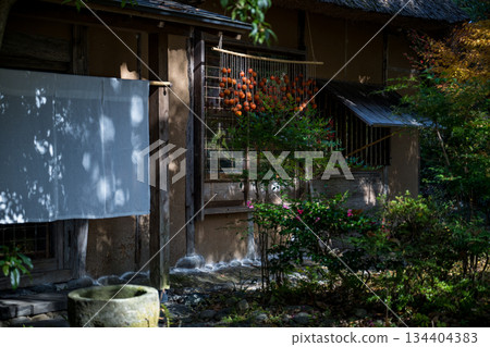 熊本風景與美麗的秋葉 134404383