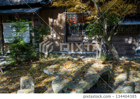 Kumamoto scenery with beautiful autumn leaves 134404385