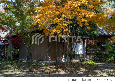 Kumamoto scenery with beautiful autumn leaves Kumamoto scenery with beautiful autumn leaves 134404389