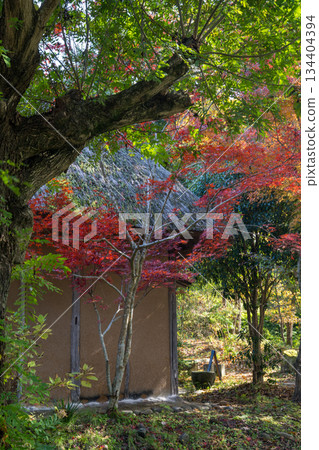 Kumamoto scenery with beautiful autumn leaves Kumamoto scenery with beautiful autumn leaves 134404394