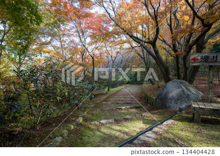 熊本風景與美麗的秋葉 134404428