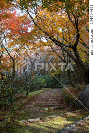 Kumamoto scenery with beautiful autumn leaves 134404431